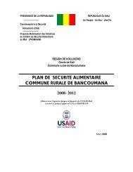 plan de securite alimentaire commune rurale de bancoumana 2008