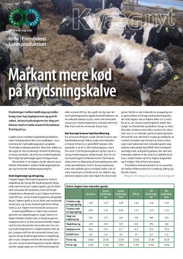 Kvæg Nyt nr. 23 - 2011 - Videncentret for Landbrug