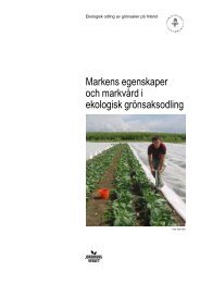 Markens egenskaper och markvård i ekologisk grönsaksodling - bild ...