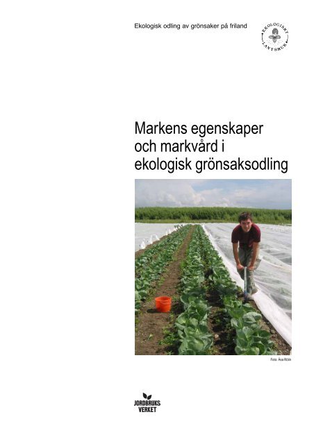 Markens egenskaper och markvård i ekologisk grönsaksodling - bild ...