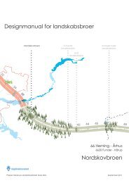 TGN Designmanual Nordskovbroen 6620.101.pdf