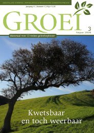 2009-3 Kwetsbaar en toch weerbaar - Groei