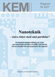 KemI Rapport 6/07 Nanoteknik - stora risker med små partiklar