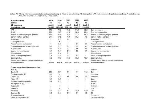 Download rapport - Biax Consult