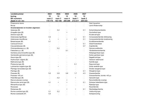 Download rapport - Biax Consult