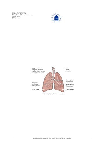 AL-lunglab - Umeå universitet