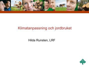 Hilda Runsten, LRF - IDG.se