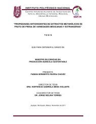 Ver/Abrir - Repositorio Digital - Instituto Politécnico Nacional