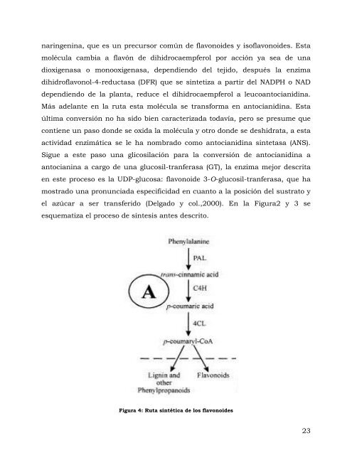 Ver/Abrir - Repositorio Digital - Instituto Politécnico Nacional