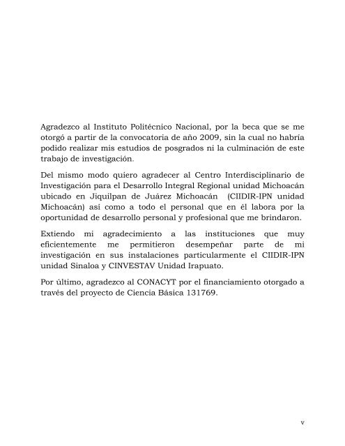 Ver/Abrir - Repositorio Digital - Instituto Politécnico Nacional