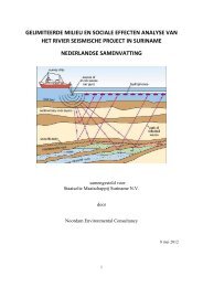 Samenvatting River Seismic Project. - Staatsolie
