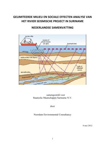 Samenvatting River Seismic Project. - Staatsolie