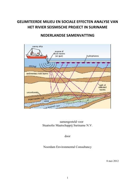 Samenvatting River Seismic Project. - Staatsolie