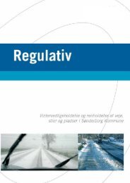 Regulativ for vintervedligeholdelse og renholdelse 01-02-2013