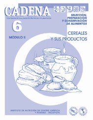 CADENA 6 – Cereales y sus productos