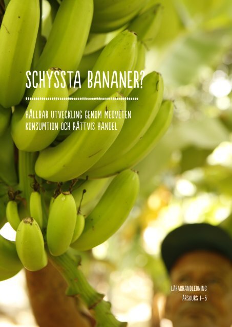 SCHYSSTA BANANER? - Fairtrade