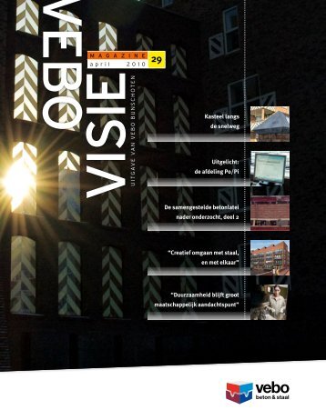 Vebovisie 29
