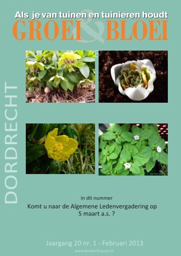 Februari 2013 - Dordrecht - Groei & Bloei