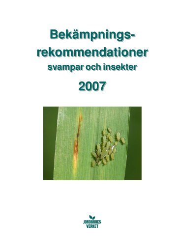 Bekämpnings