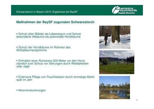 Schwarzstorch in Baysf-Wäldern Ergebnisse der Umfrage