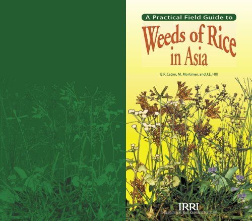 A Practical Field Guide to - IRRI books - International Rice Research ...