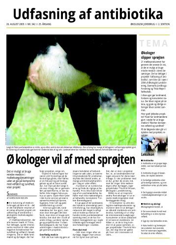 Udfasning af antibiotika - Økologisk Landsforening