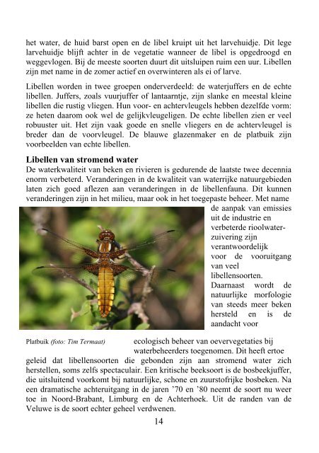 de Wielewaal oktober 2008.pdf - IVN