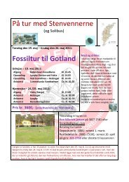 På tur med Stenvennerne Fossiltur til Gotland