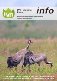 info nov 2012, nummer 4.pdf - Ivn