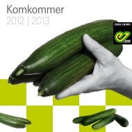 Komkommer - Enza Zaden