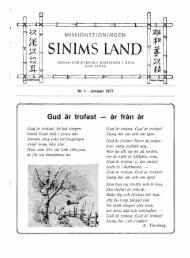 SINIMS LAND