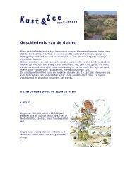 Geschiedenis van de duinen - Kustgids.nl