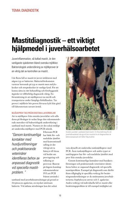 SVAvet nr 3 2011, Tema: diagnostik