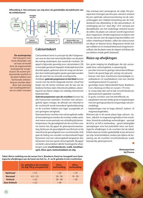 In dit nummer: - The European Fruit Magazine