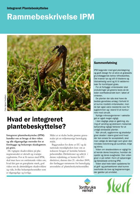 Rammebeskrivelse IPM - Scandinavian Turfgrass and Environment ...