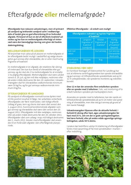 Effektive mellem- og efterafgrøder - DLA Agro