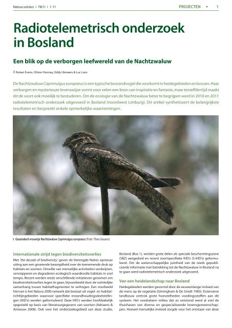 Radiotelemetrisch onderzoek in Bosland - Natuurpunt