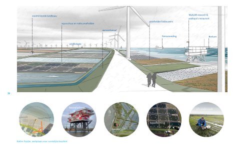 PDF De waddenkust ontwaakt - Atelier Fryslân