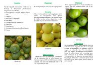 Citrus telen