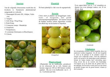 Citrus telen