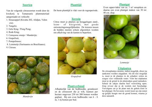 Citrus telen