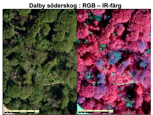 20. Fjärranalys (uppdaterad 2012) - Institutionen för naturgeografi ...