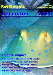 December 2010 - Reefsecrets