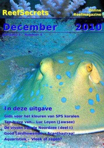 December 2010 - Reefsecrets