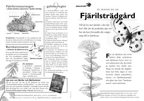 Så skapar du en fjärilsträdgård - Naturskyddsföreningen