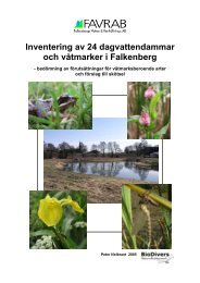 Inventering av 24 dagvattendammar och våtmarker i ... - Biodivers