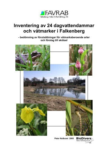 Inventering av 24 dagvattendammar och våtmarker i ... - Biodivers
