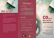 CO-vergifting (leaflet, PDF)
