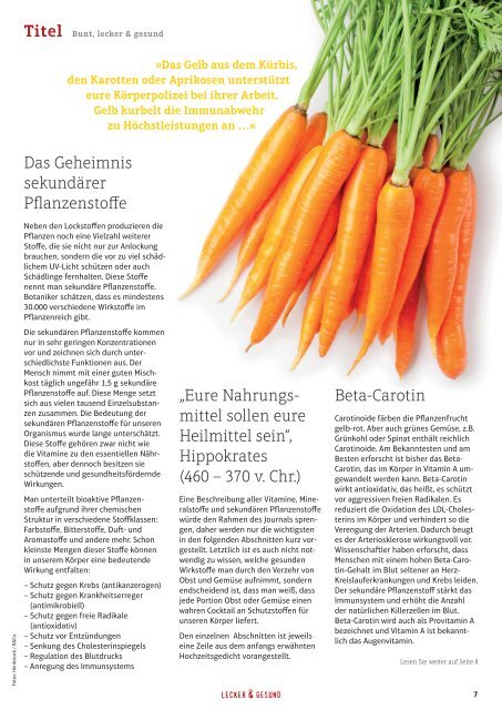 GEFRO Journal 25 - Essen nach Farben