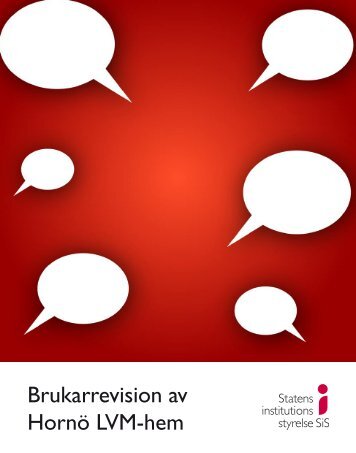 Brukarrevision av Hornö LVM-hem